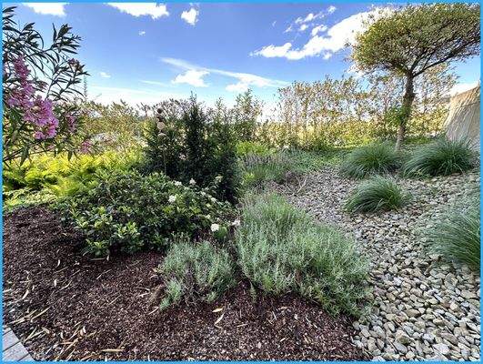 leicht zu pflegender Gartenbereich