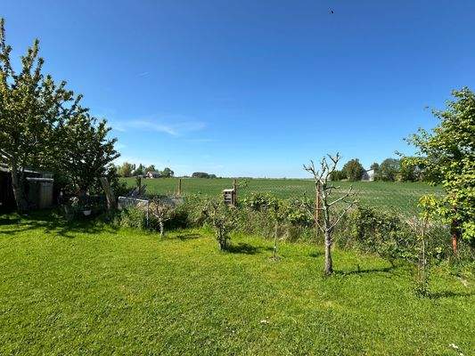 Sicht vom Grundstück