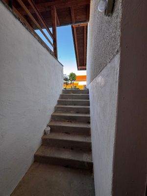 Aufgang Keller / Garten