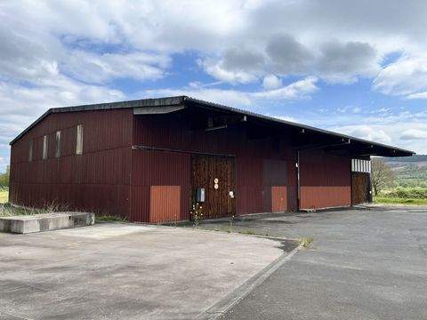 Niederaula Halle, Niederaula Hallenfläche