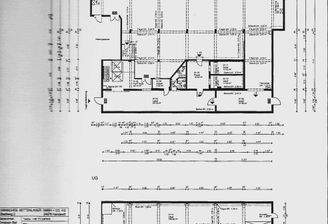 Grundriss Laden EG.jpg