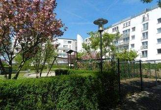 Grüne Oase vor dem Fenster