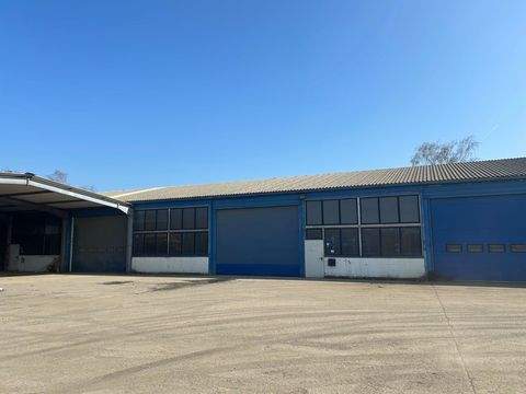 Hamm Halle, Hamm Hallenfläche