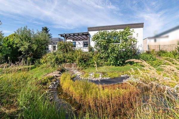 Teichanlage inmitten des verwunschenen Gartens