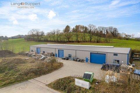 Fürth Halle, Fürth Hallenfläche