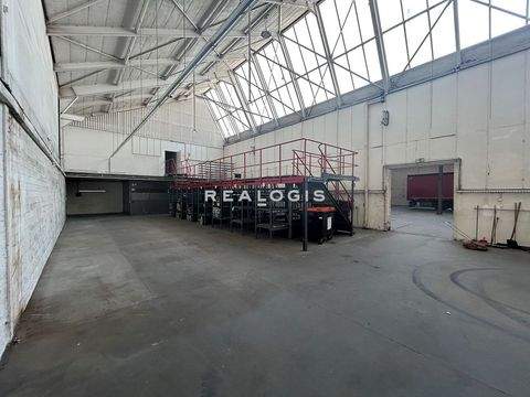 Reinbek Halle, Reinbek Hallenfläche