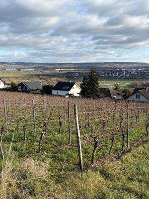 Blick aus den Weinbergen