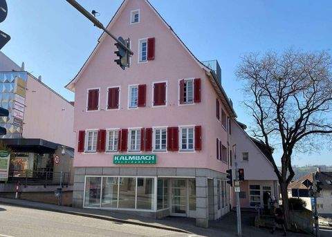 Vaihingen an der Enz Ladenlokale, Ladenflächen 