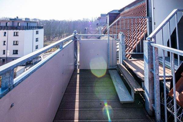 Blick zum Leutewitzer Park