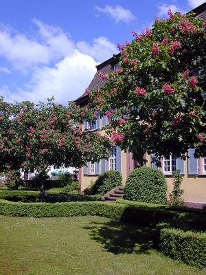 Garten mit Kastanien und Buxhecken