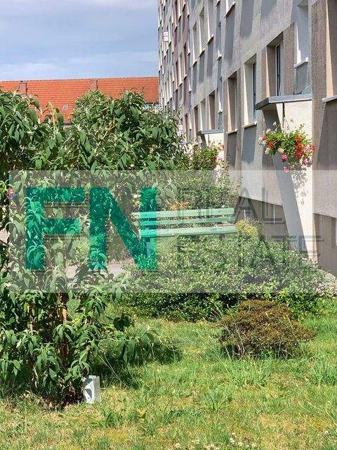 Bad Düben Wohnungen, Bad Düben Wohnung mieten