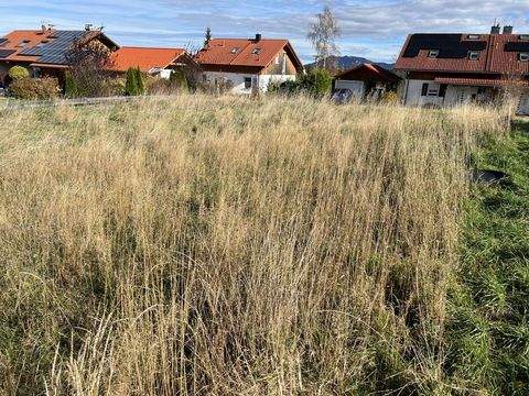 Füssen / Weißensee Grundstücke, Füssen / Weißensee Grundstück kaufen