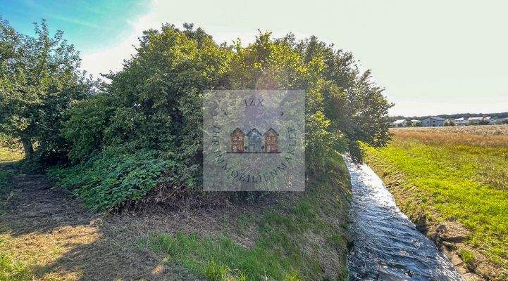 PHOTO-2025-08-25-10-36-54 3