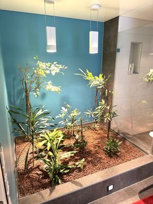 Pflanzenterrarium Duschbad