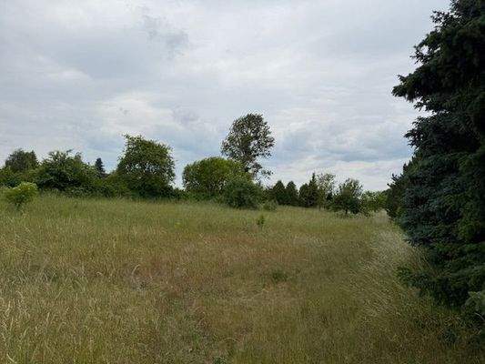 Grundstückansicht (6).jpg