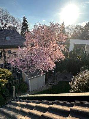 Aussicht von der Dachloggia