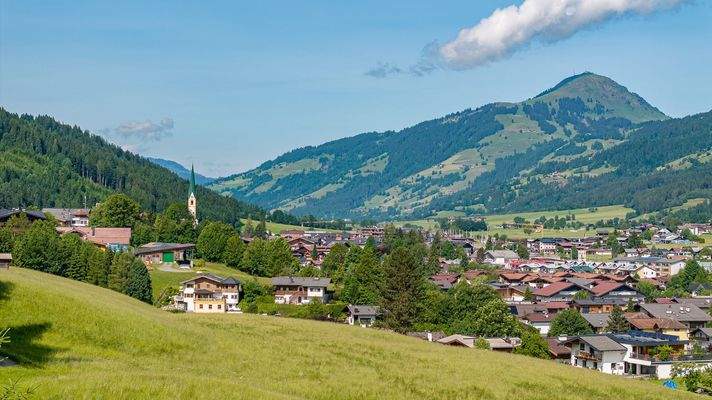 KITZIMMO-Grundstück mit Altbestand in sonniger Ruhelage kaufen - Immobilien Kirchberg.