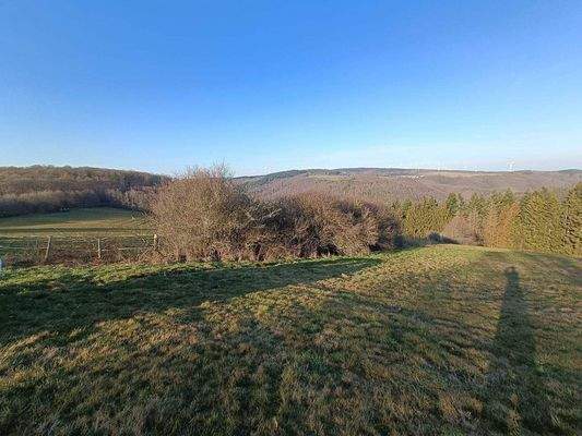 WhatsApp Image 2026-03-14 at 12.04.07.jpeg