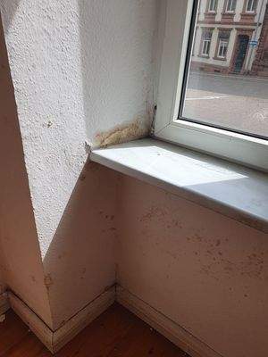Feuchtigkeit Fenster