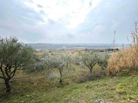 Buje Grundstücke, Buje Grundstück kaufen