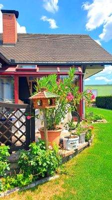 Garten, Blick auf den Wintergarten