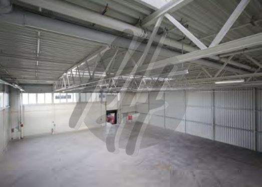 INFOS UNTER: 06171-586000