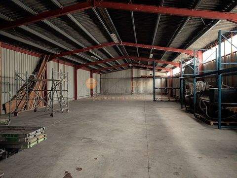 Dommershausen Halle, Dommershausen Hallenfläche