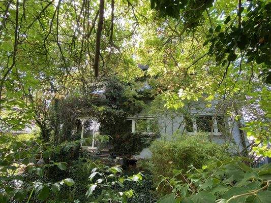 rückwärtige Ansicht mit Baumbestand