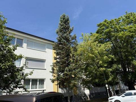 Markt Piesting Wohnungen, Markt Piesting Wohnung mieten