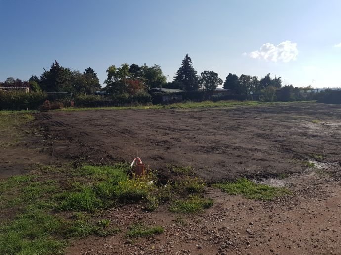 Merseburg! Vollerschlossenes Baugrundstück in Randlage!