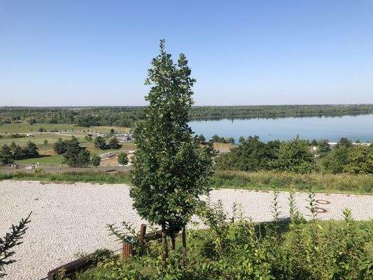 Blick von der Terrasse 