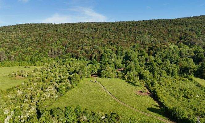 WhatsApp Image 2026-01-29 at 14.09.19.jpeg