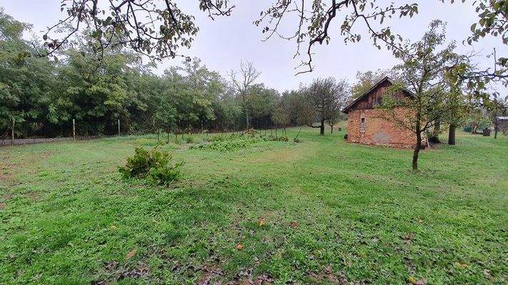 244425255_1484329161939293_699162737663208362_n.jp