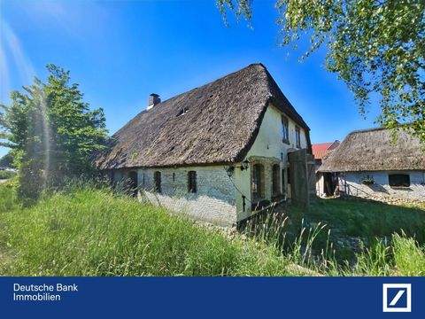 Bergenhusen Häuser, Bergenhusen Haus kaufen