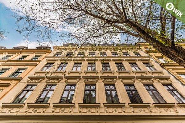 Blickwinkel im Großformat...