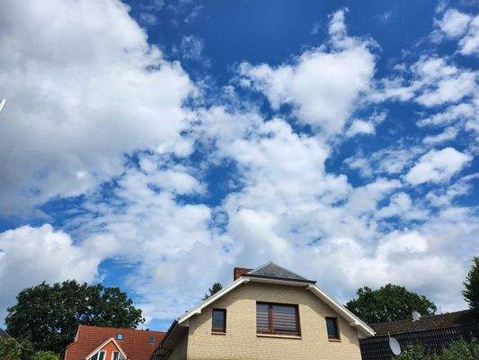 WhatsApp Image 2023-07-24 at 12.51.55