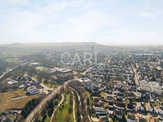 Weinstraße_20260303_68