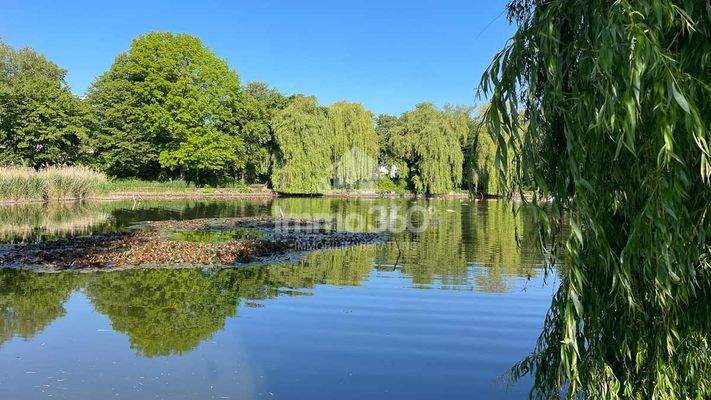 Dorfteich Lichtenrade