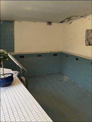 Überdachtes Schwimmbad im Garten