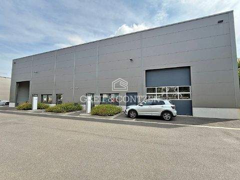 Kerpen Halle, Kerpen Hallenfläche