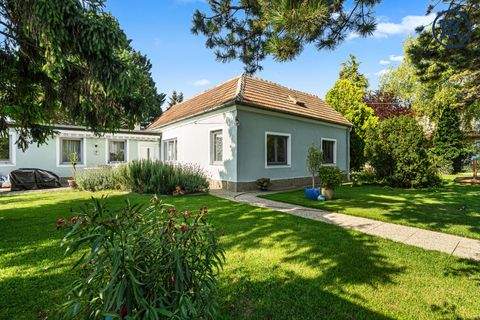 Wien, Donaustadt / Wien 22., Donaustadt Grundstücke, Wien, Donaustadt / Wien 22., Donaustadt Grundstück kaufen