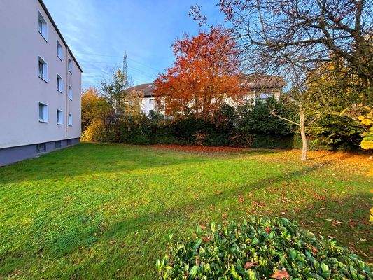 Rückseitiger Garten