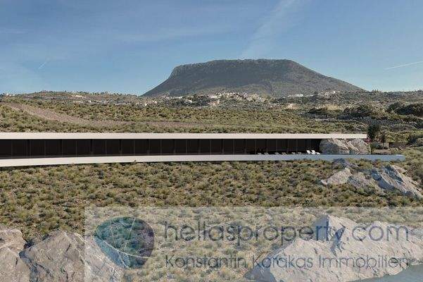 Project New Cave Style luxury Villa (7)