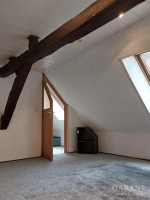 Zimmer OG1