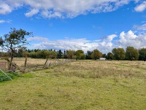 Löcknitz Bauernhöfe, Landwirtschaft, Löcknitz Forstwirtschaft