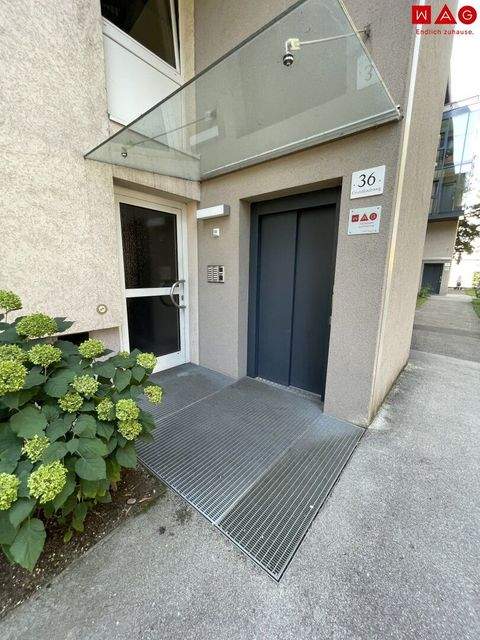 Linz Wohnungen, Linz Wohnung mieten