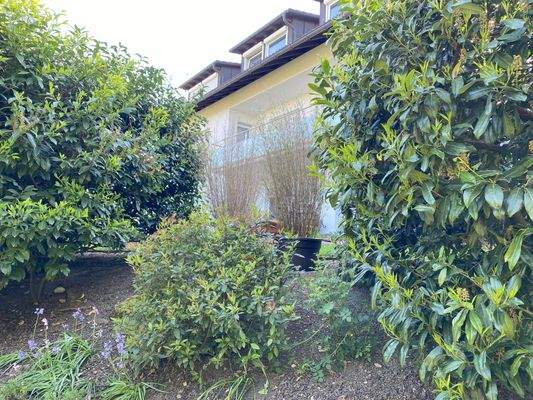 Blick zur Terrasse (I).jpg