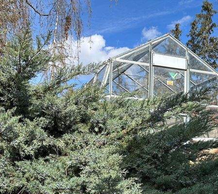 Gewächshaus 