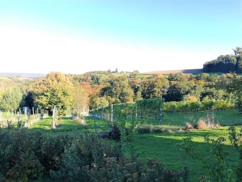 Loipersdorf bei Fürstenfeld Häuser, Loipersdorf bei Fürstenfeld Haus kaufen