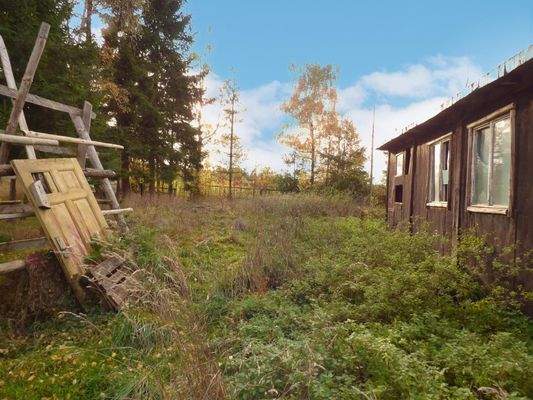 Blick ins Grundstück